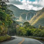 Rutas de los manglares en Panamá: un viaje por la biodiversidad