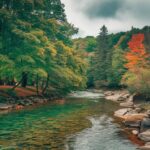 Explorando rutas históricas en Estados Unidos: un viaje por el tiempo
