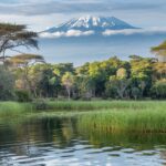 Descubre las rutas de carretera: los road trips más épicos en Estados Unidos