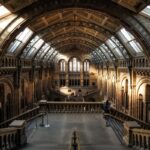 Historia y tradiciones de la cultura medieval en Francia: explorando un legado fascinante